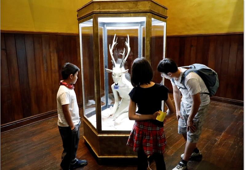 民眾近觀欣賞作品「安妮」。