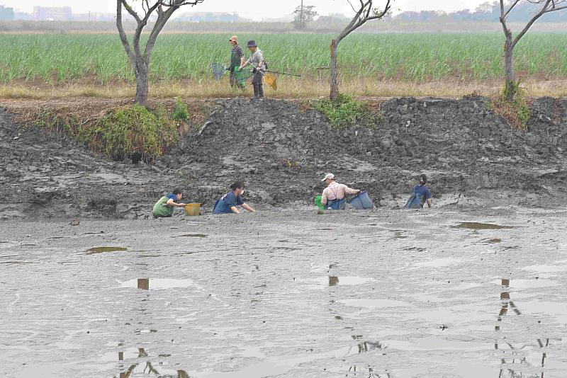 參與民眾自備的各種補魚器材捕撈外來種魚類(嘉義縣鳥會陳建樺總幹事攝)