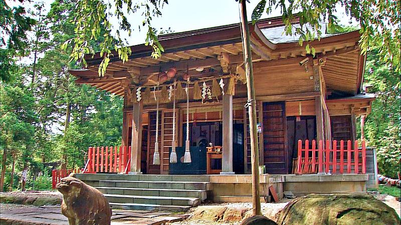 龜岡八幡宮是1189年（文治5年）伊達氏的始祖伊達朝宗勸請鐮倉的鶴岡八幡宮而開始的，當時靈龜出現，因此被命名為龜岡八幡宮。