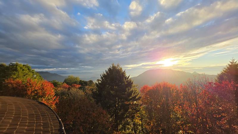 楓紅映雲海。