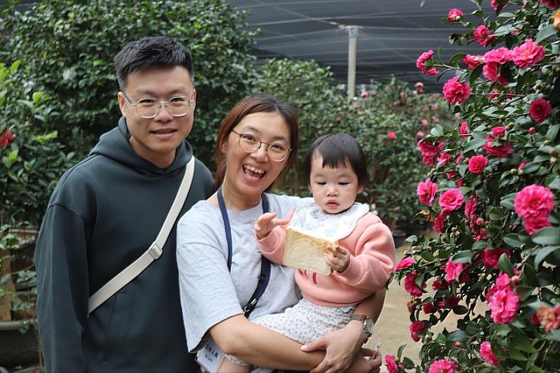 茶花展持續至明年1月2日，邀請大家漫步茶花園，賞花、看展、品茶，感受綠意美學。