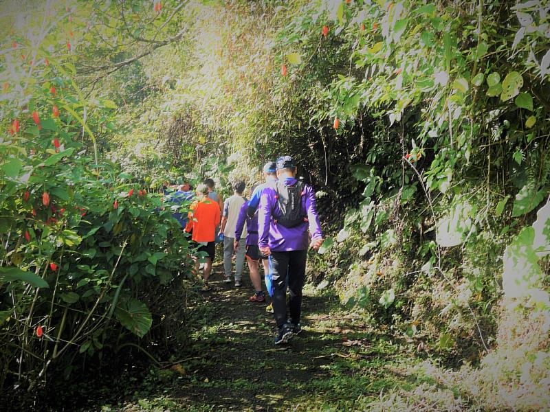 北宜公路超級馬拉松不僅是一場體能考驗,更是一趟穿越山林、回望歷史的旅程。