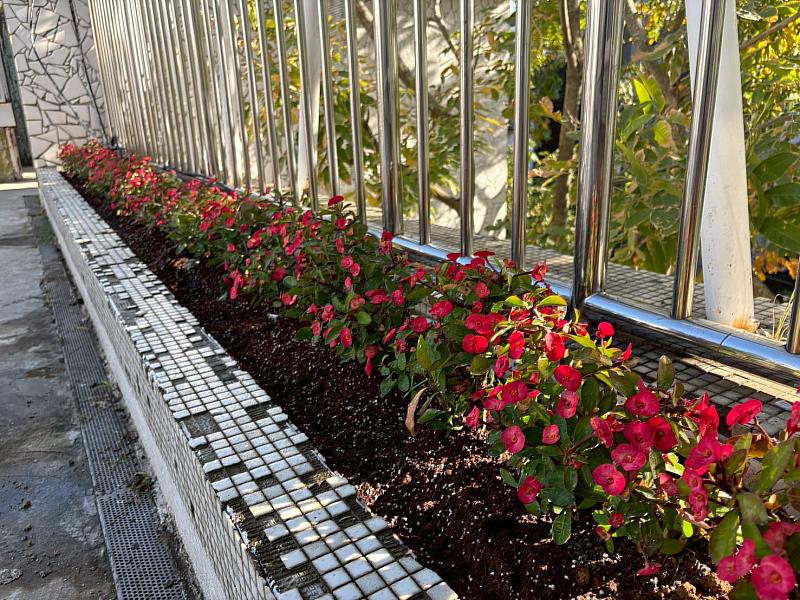 校園綠牆設置成果。