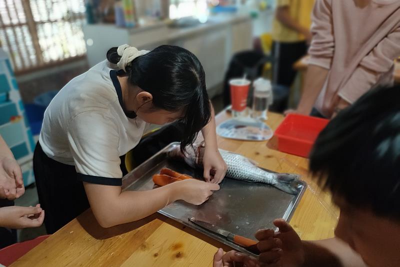 用棉線將取出的烏魚卵前端綁緊，固定形狀並利於後續製作，南大師生實地體驗烏魚子傳統工序。