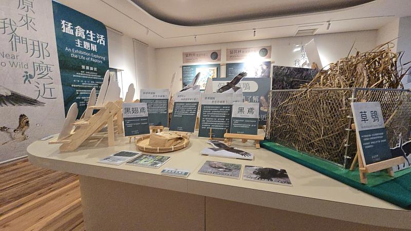 展覽中以黑翅鳶、黑鳶及草鴞道出猛禽所面臨棲地流失與食物來源不足等困境及保育課題。