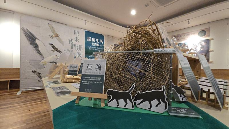 透過白茅模擬草鴞巢位以及草鴞生態服務給付的保護圍網，介紹草鴞的生態與保育行動。