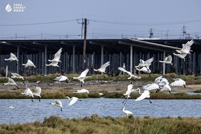 落實ESG，與台灣土地與社區共好成長。