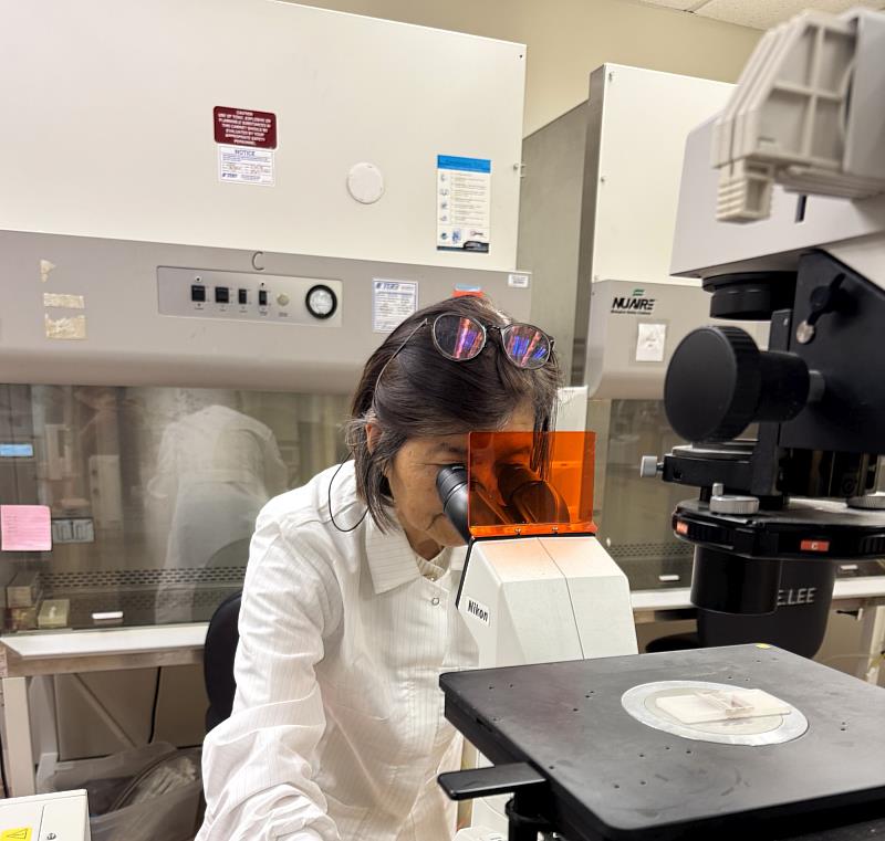 潘玉華院士在實驗室做研究。