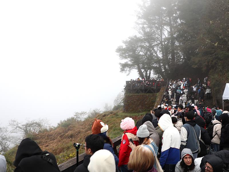 阿里山日出印象音樂會　神木下啟動2026台灣燈會倒數