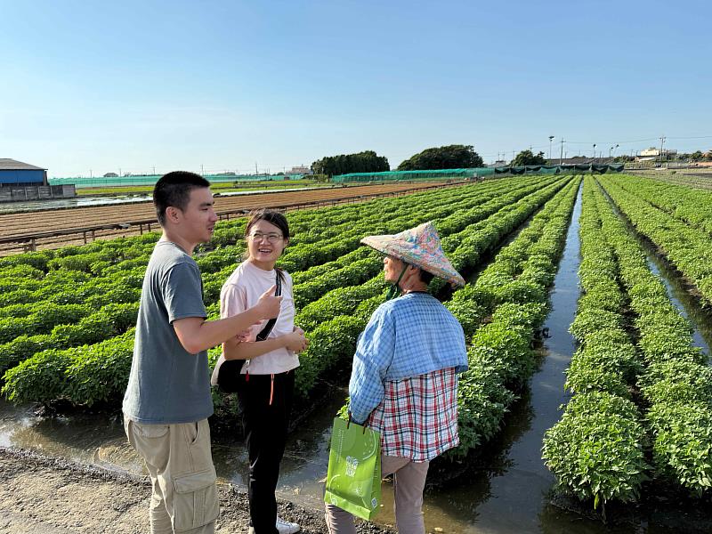 由專家輔導農民安全用藥及提供病蟲害防治諮詢服務。
