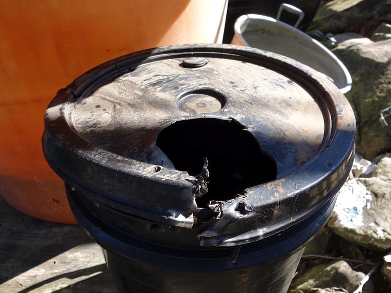 臺灣黑熊再次侵擾工寮破壞儲水桶。