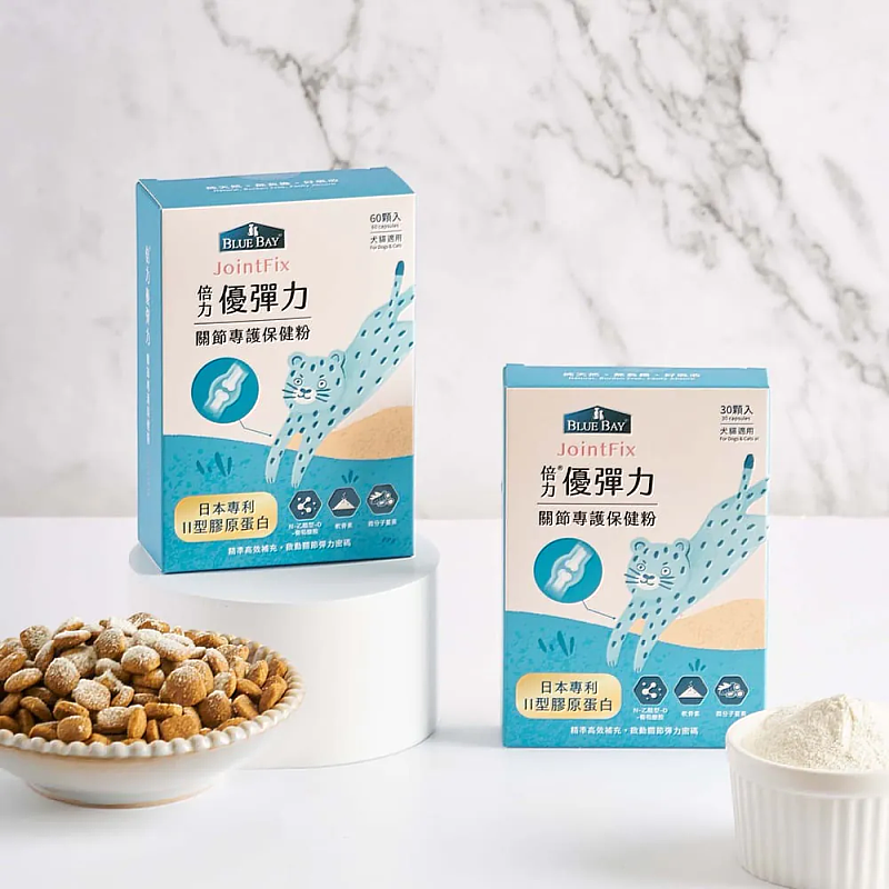 冷氣團低溫襲！高齡毛孩恐隱形猝死 獸醫曝老化致命警訊