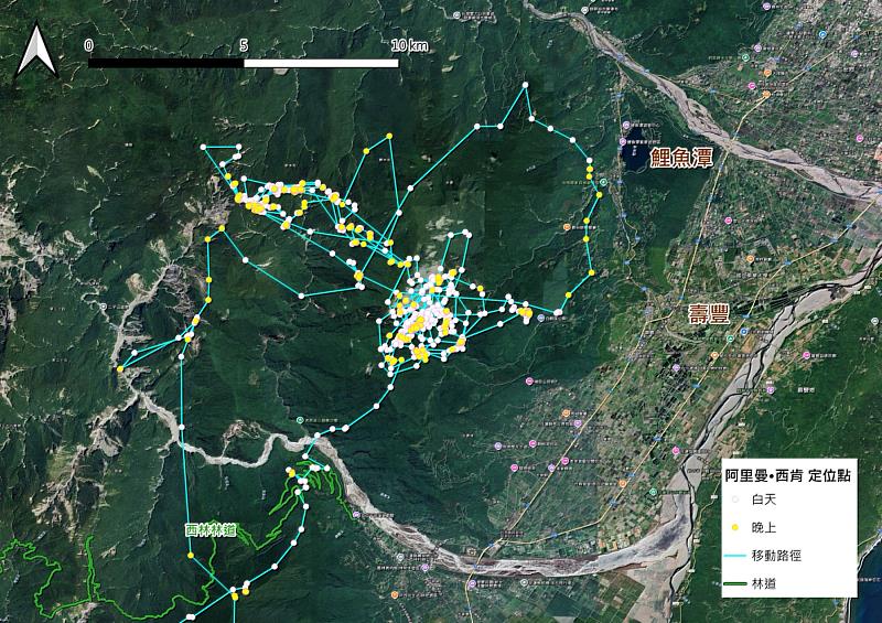 阿里曼・西肯去年9月起開始接近人類活動區域，10月26日一度接近池南森林遊樂區及鯉魚潭與文蘭部落。