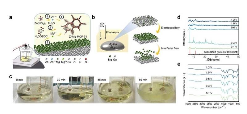 液態金屬陽極具自我修復與穩定離子釋放特性，可進行雙金屬-MOF-的室溫快速合成。