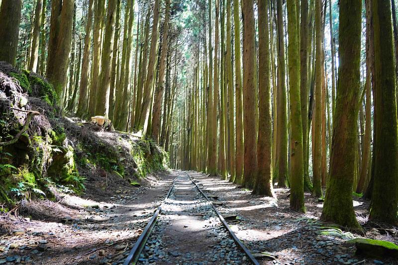 特富野古道