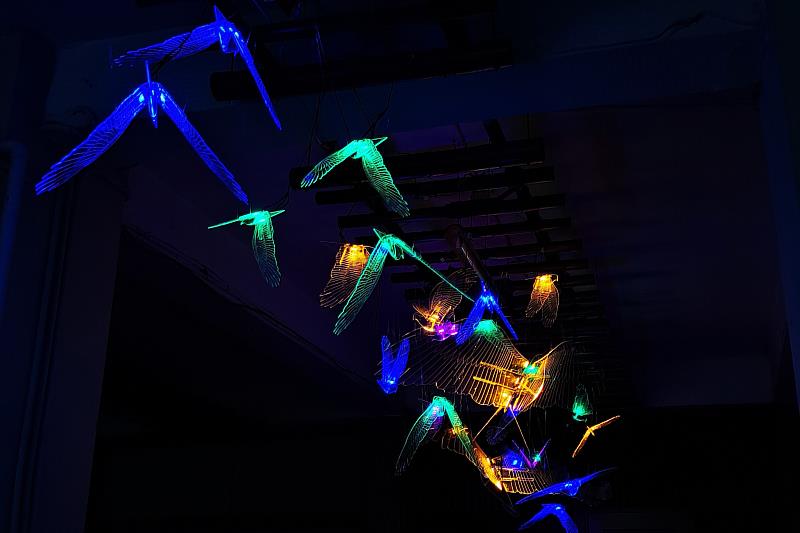 成大創產所展覽《迴望失序的維度》 詮釋人與自然共生關係