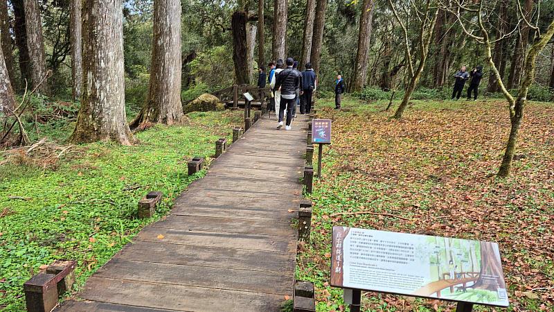 因應巨木群棧道香林神木至神木車站段更新改善封閉，林業保育署嘉義分署請遊客改由慈雲寺下方步道及巨木群棧道（2）進入。
