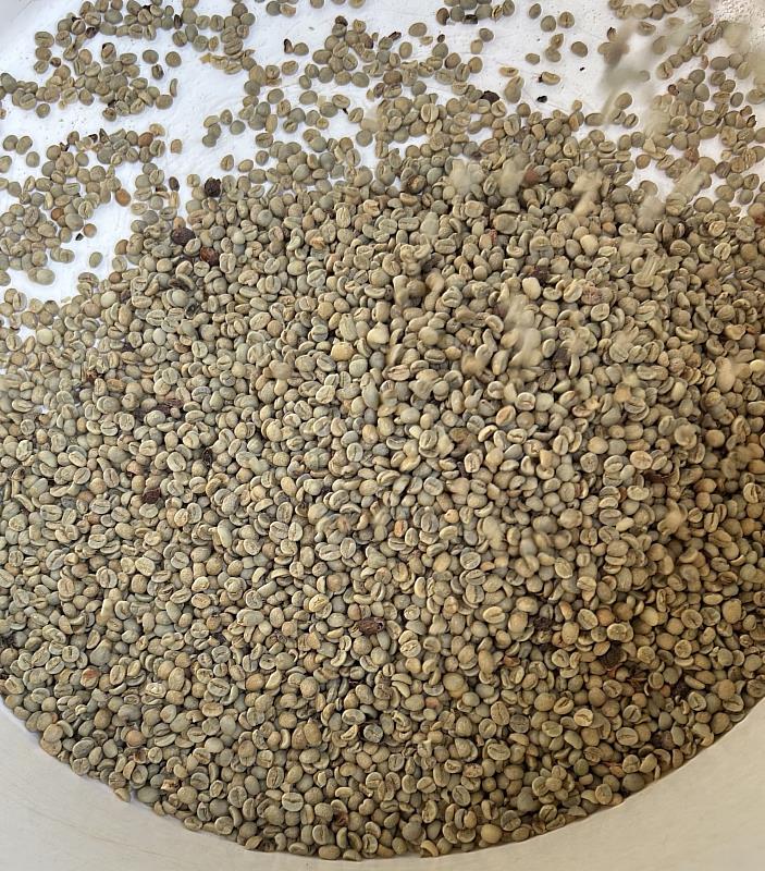 經機械脫去乾燥果皮及外殼後即為消費者熟知的咖啡生豆。