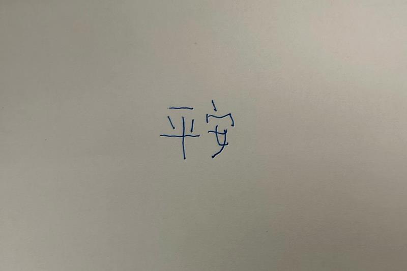 出院前盧副站長秀出這些日子的醫療成果，用左手寫下「平安」，簡單的兩個字，寫出了這36天來花蓮慈濟醫院醫療團隊的努力，家人的陪伴，全台網友的祝福以及她自己最深刻的體悟。