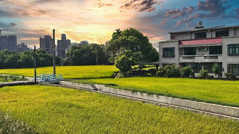 東興圳幹線改善融入新竹竹北農業地景。