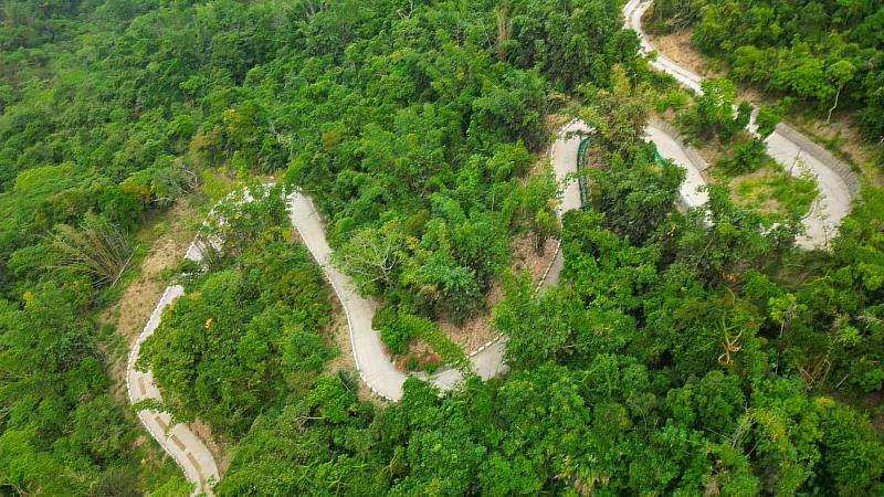 林業保育署嘉義分署近期完成南山林道3-6公里復通，重新串連中斷多年的林道作業廊道。