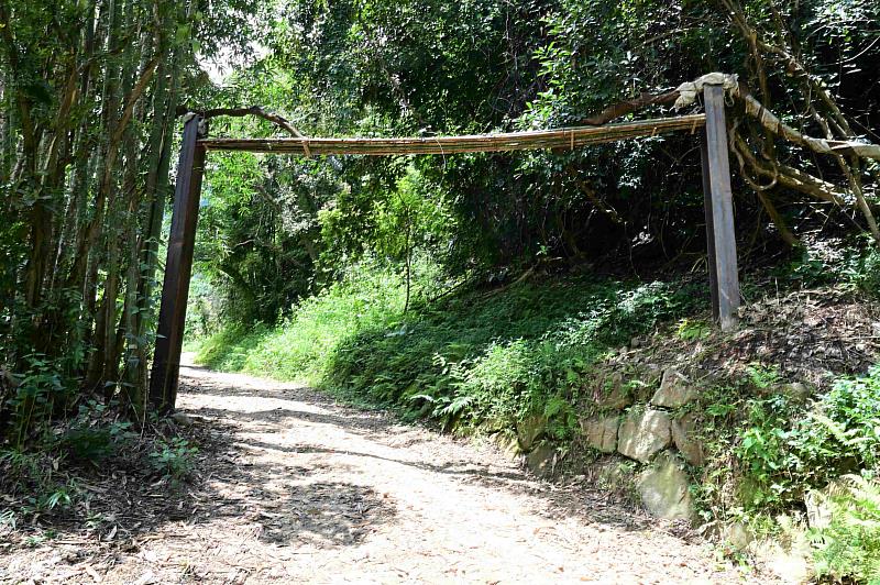 對於特有種植物鴨腱藤，採現地保留及設置竹編保護。