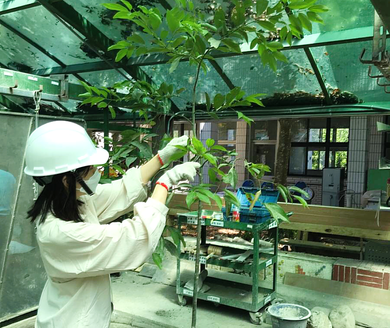 北分署宜蘭職業訓練場造園景觀班訓練實況(非文中個案)。
