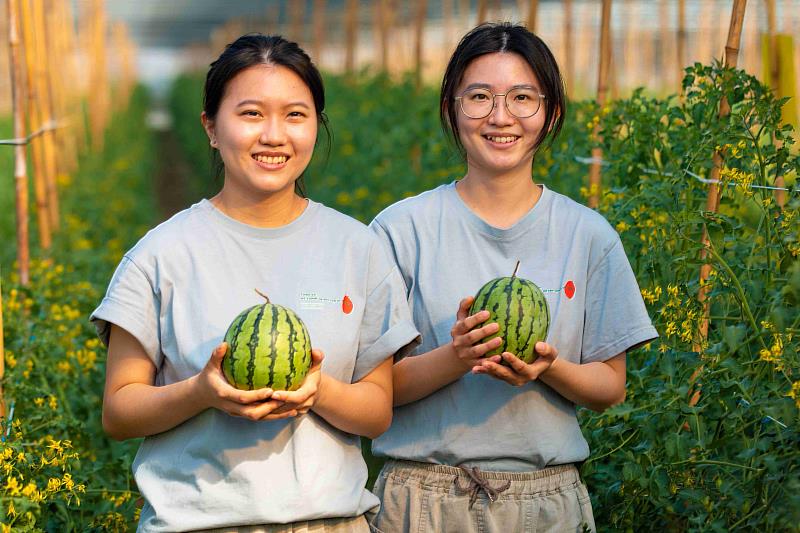 2026台灣燈會形象片「嘉義・乘光而行」點閱破百萬，科技與傳統交織引發廣大共鳴。