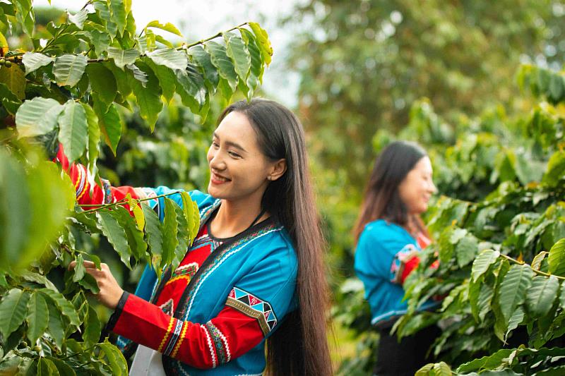 2026台灣燈會形象片「嘉義・乘光而行」點閱破百萬，科技與傳統交織引發廣大共鳴。