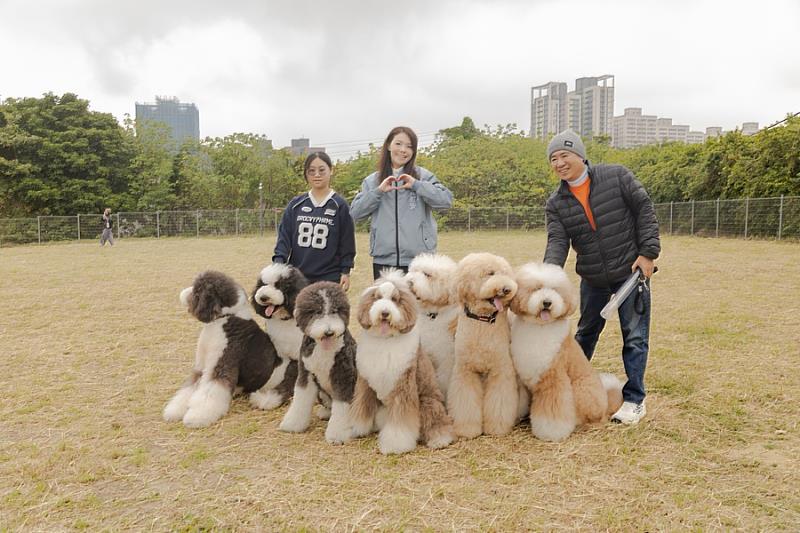 市長高虹安與今日搶先體驗的狗狗們互動。
