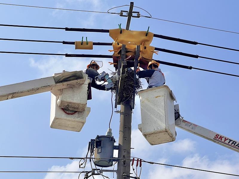 去年3月5日驚蟄行動，台電動員逾4,000人次致力強化供電穩定，除移植桿上鳥巢或架設友善鳥巢籃，引導鳥類避開危險，並加裝防鼠藍、防蛇網、驅鳥器等隔絕生物侵入，致力維護生態與供電的共榮。