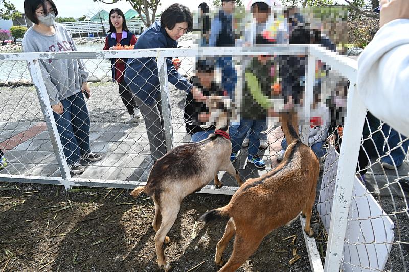 饒慶鈴縣長媽咪與監護兒少共度歲末派對