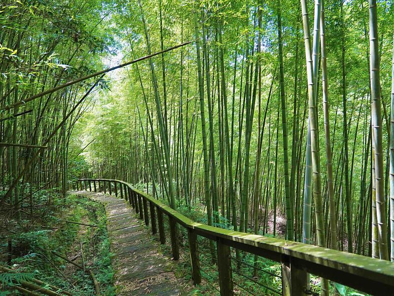 孝子路步道。