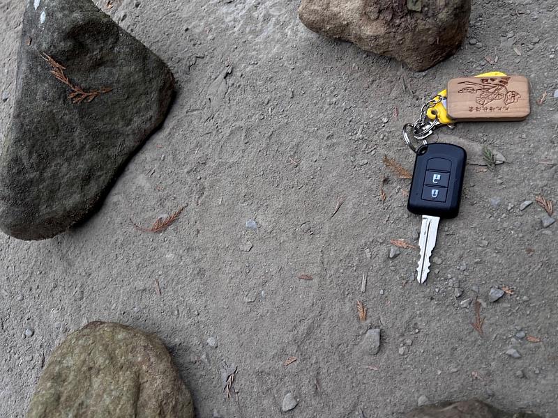 里佳地區發現的黑熊腳印約15公分，經專家判定為成熊。