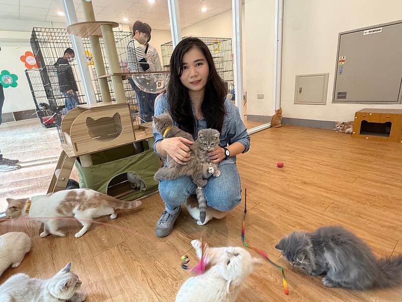 嘉義縣喵星人命定配對活動30日截止