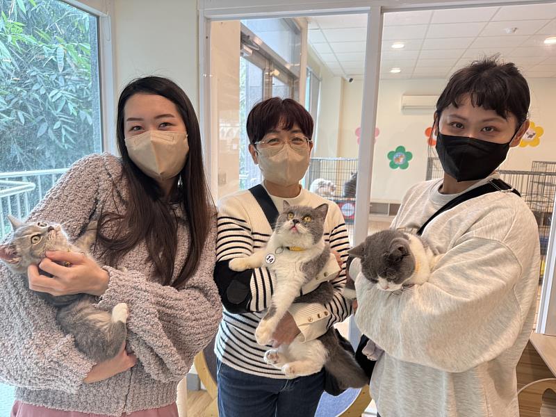 嘉義縣喵星人命定配對活動30日截止