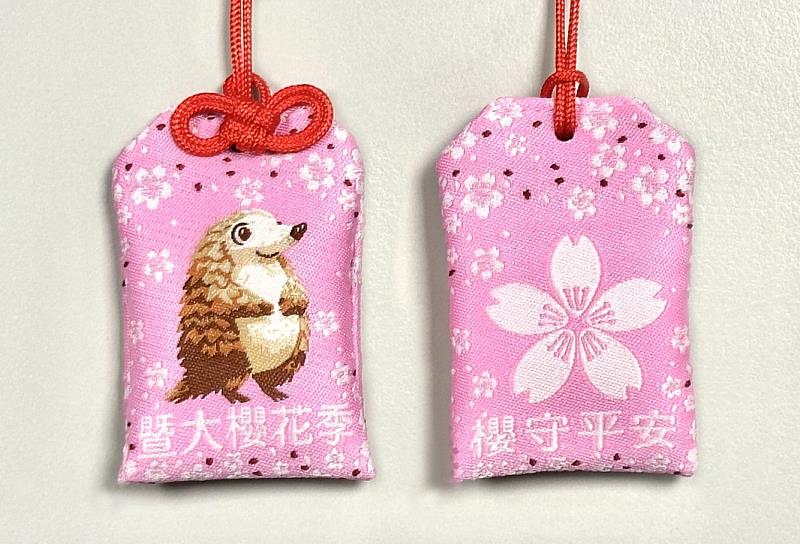 暨大櫻花季浪漫起跑 首推「神獸御守」與37所高中締盟共好