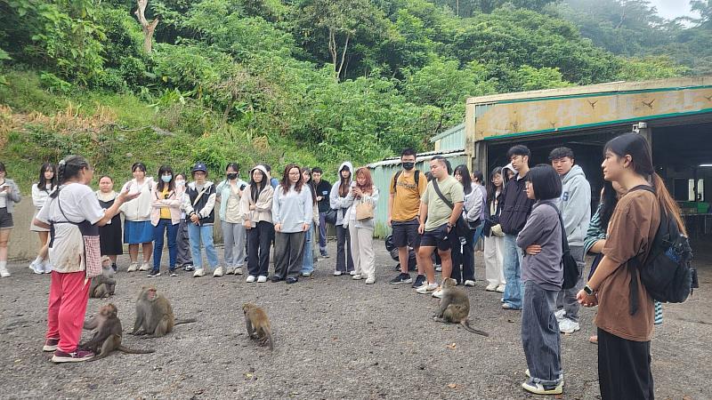 南華大學「永續環境與地方創生」跨領域學程師生至台南市南化區烏山獼猴區戶外教學,園區解說員介紹台灣獼猴生態、習性及家族結構。