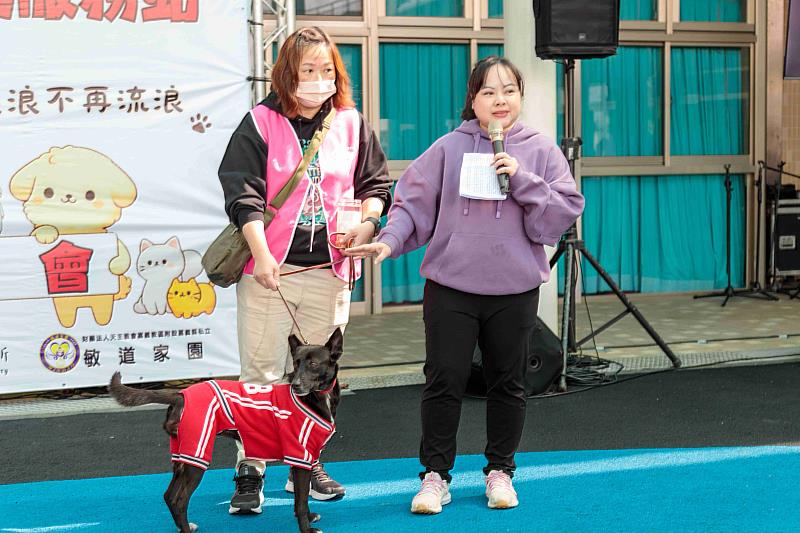 嘉義縣獨創「浪浪就業服務站」 浪浪成為夥伴不再流浪