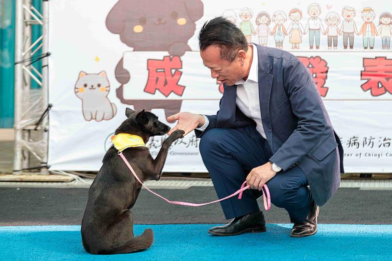 嘉義縣獨創「浪浪就業服務站」 浪浪成為夥伴不再流浪