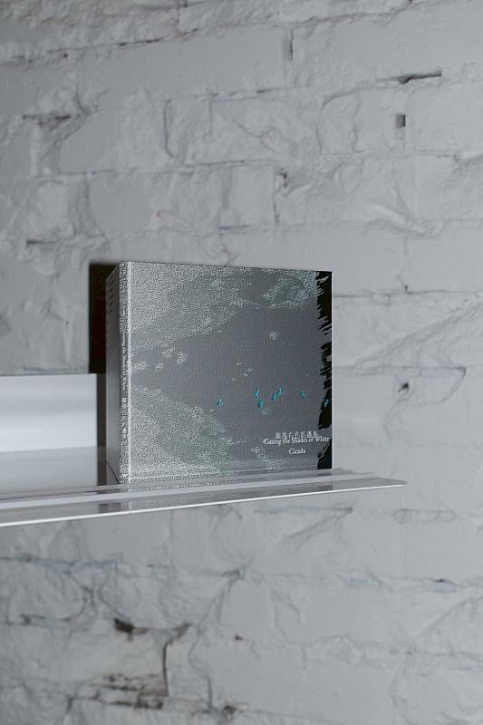 《凝視白色的邊界》以冰河地景連結不同島嶼，實體專輯中，不僅收錄8首器樂原聲作品，更集結6首跨國合作的Remix曲目。（圖／風潮音樂 提供）