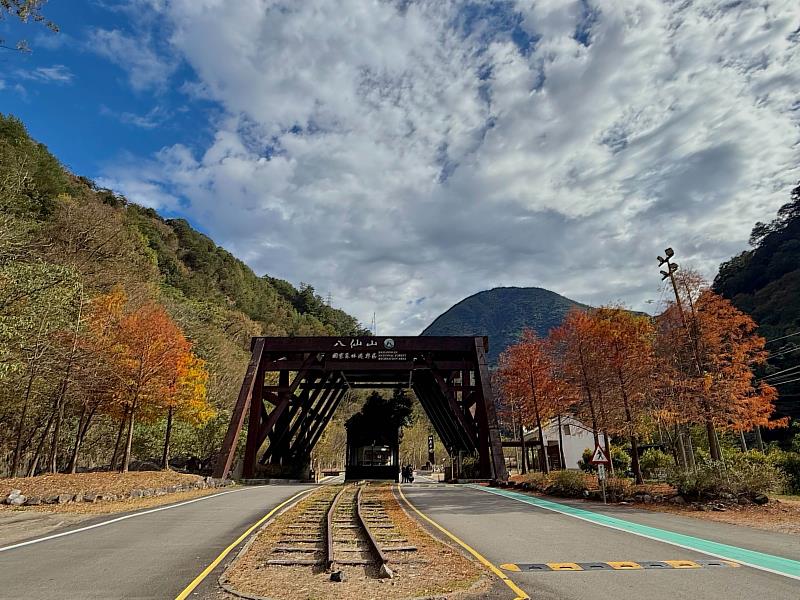 馬上出發！ 2026馬年森林育樂場域走春攻略