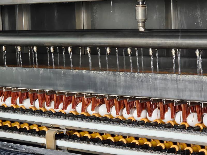 臺南蛋品領先布局2026洗選新制 春節限定包裝蛋、拾步町蛋捲安心首選