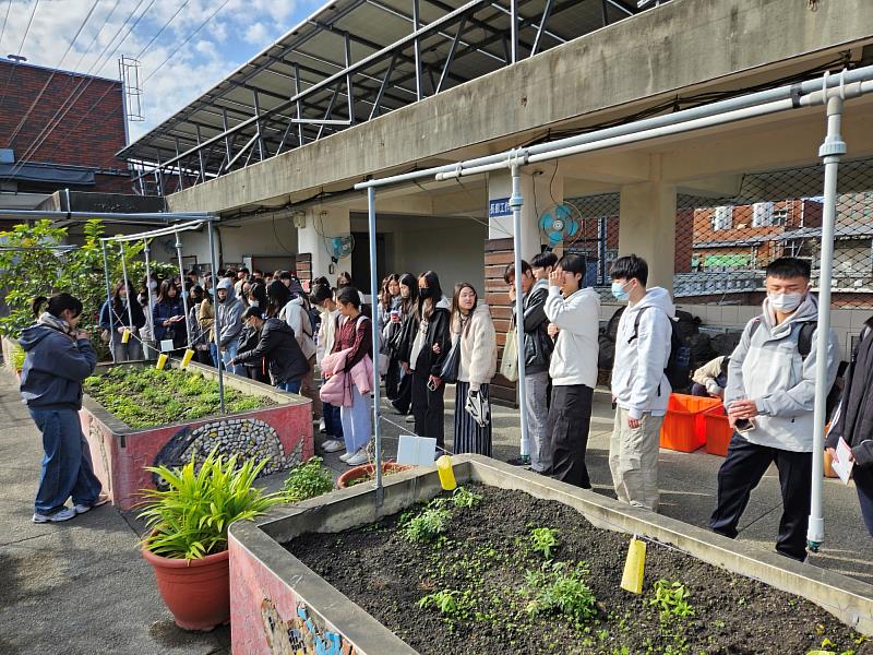 大一學生參訪晴空花園參觀身心障礙者栽種的香草。