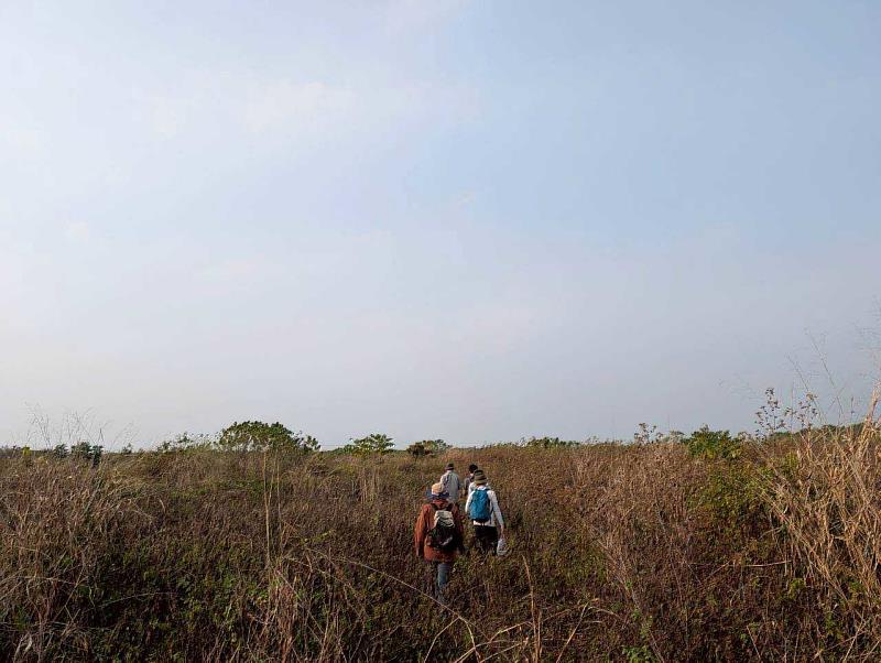 從屏南地區草鴞繁殖新發現 喚起瀕危物種棲地保育關注