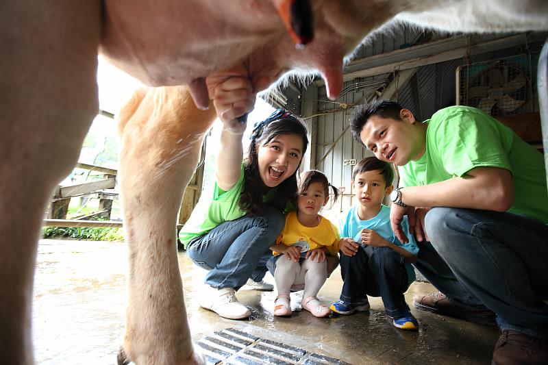 與動物近距離互動，親手幫牛媽媽擠ㄋㄟㄋㄟ，原來牛奶是這樣來的啊！（照片為苗栗飛牛牧場）