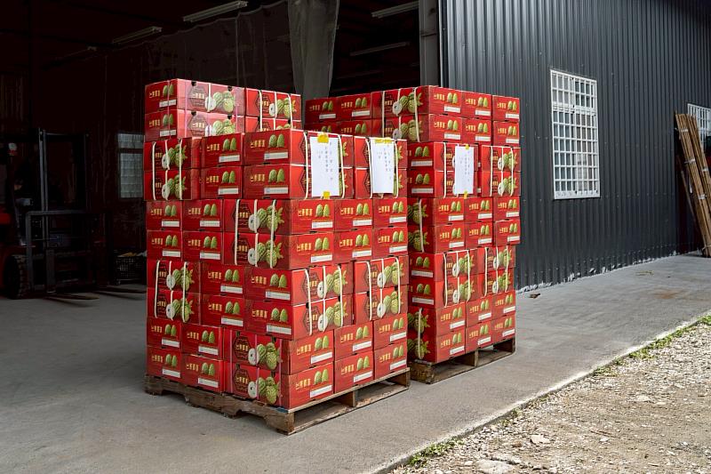 力挺臺東鳳梨釋迦 彰化縣政府訂購130箱助農 饒慶鈴表達感謝