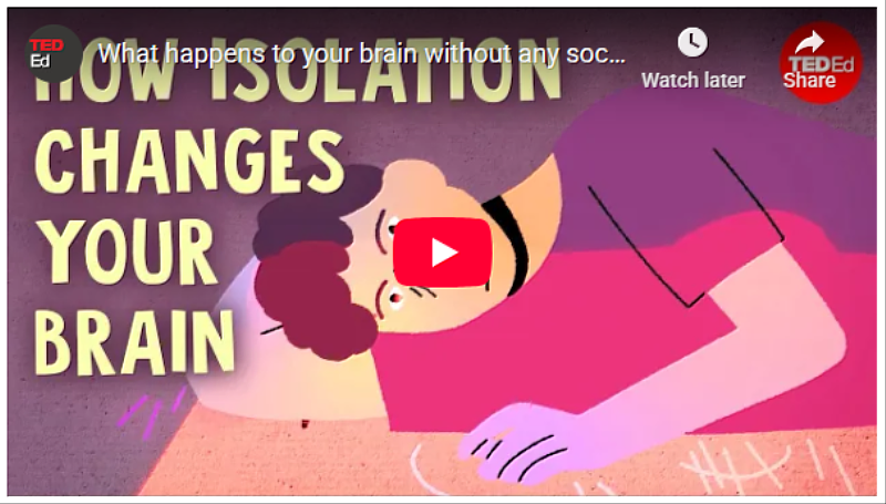What happens to your brain without any social contact?