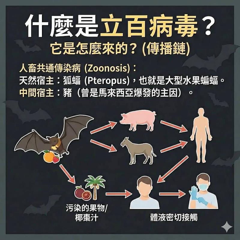 立百病毒說明