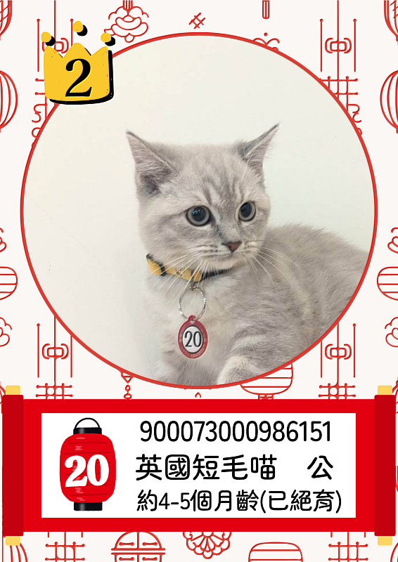 「喵星人命定配對」活動中籤率0.65%，2月8日抽出幸運飼主。